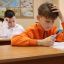 Краевая олимпиада3,4 классов продолжается 11